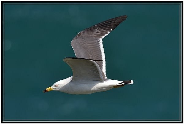 DSC_4082_01.jpg