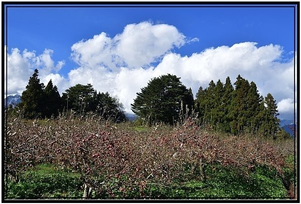 DSC_6848.jpg