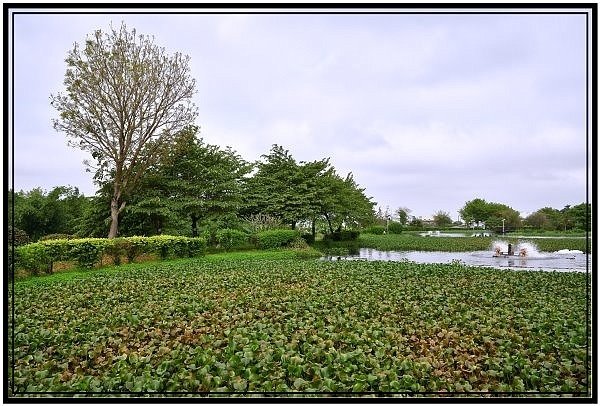 DSC_1201.jpg