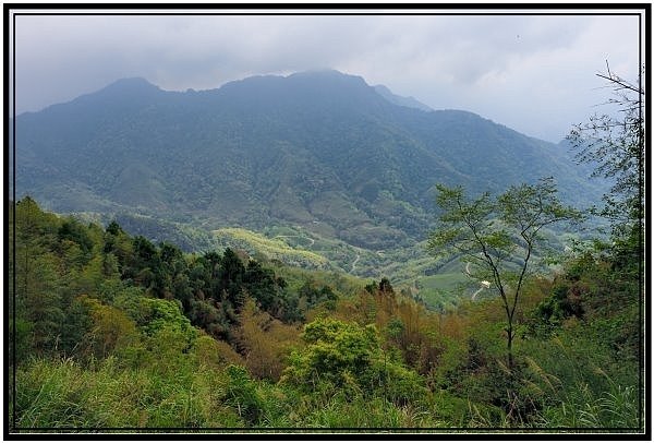 DSC_2722.jpg