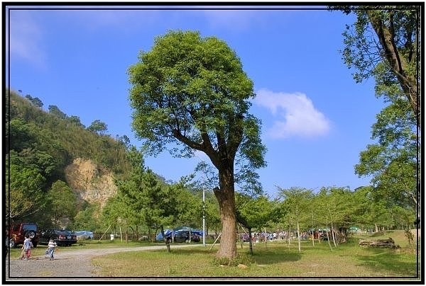 DSC_2798.JPG