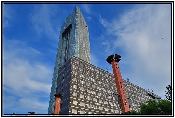 DSC_8787.jpg