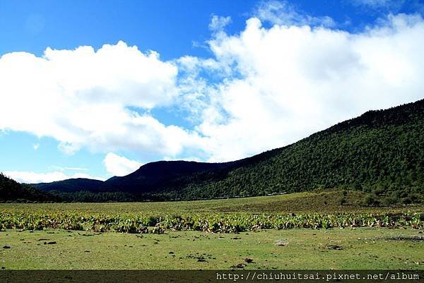 香格里拉藍月山谷（石卡山風景區）亞拉青坡草原