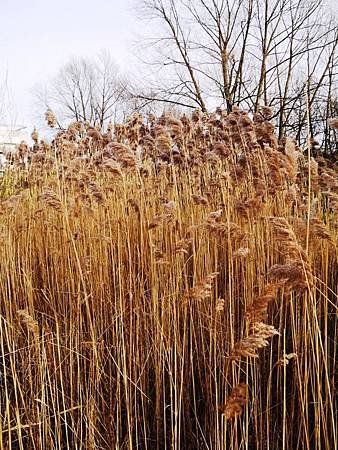 P1030091.JPG