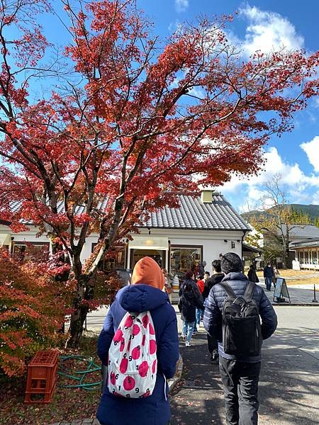 期中福岡快行: 大分一日遊