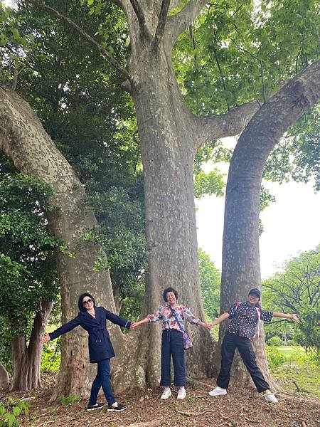 預慶祝之旅：東京快閃