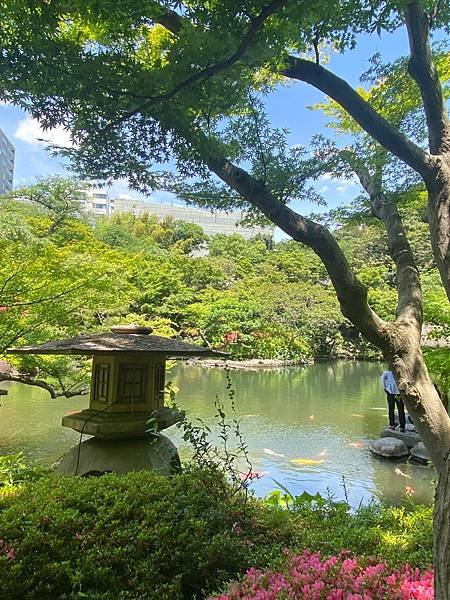 預慶祝之旅：東京快閃