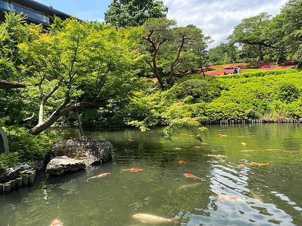 預慶祝之旅：東京快閃