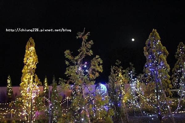 IMG_6537.JPG