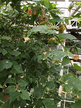 IMG_8913.JPG