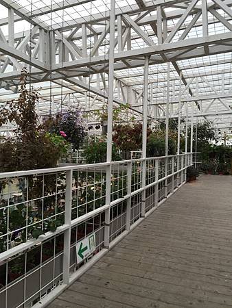 IMG_8912.JPG