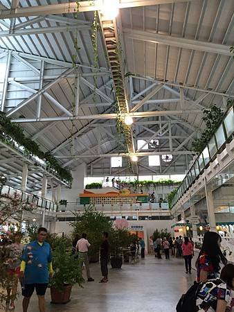 IMG_8893.JPG