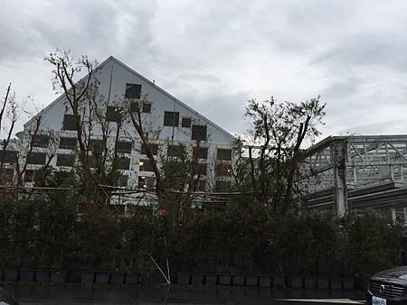 IMG_8890.JPG