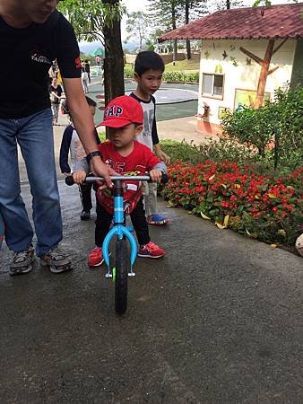 IMG_1557.JPG