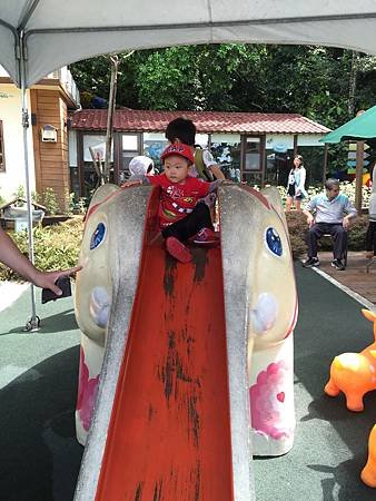 IMG_1562.JPG