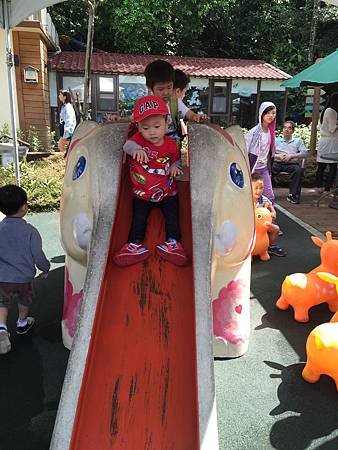 IMG_1563.JPG