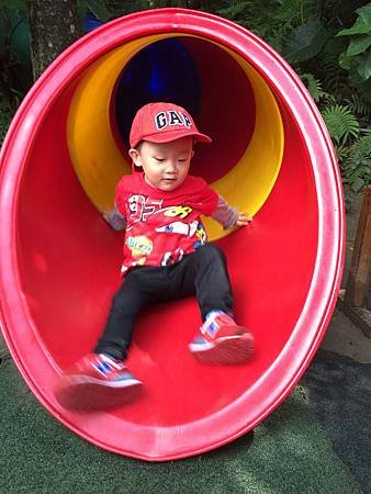 IMG_1565.JPG