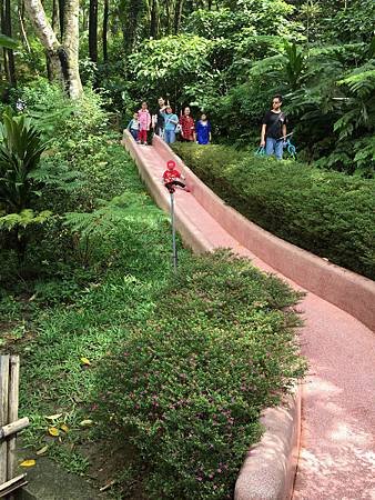 IMG_1581.JPG