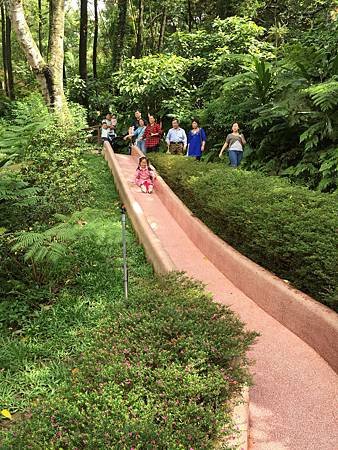 IMG_1582.JPG