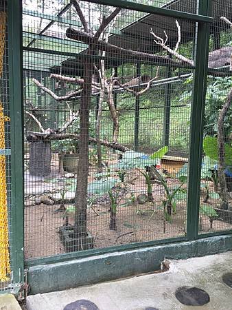 IMG_1587.JPG