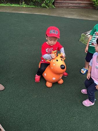 IMG_1595.JPG