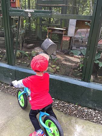 IMG_1602.JPG