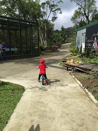 IMG_1601.JPG