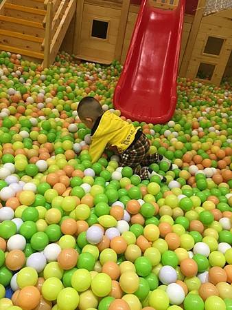 IMG_4260.JPG