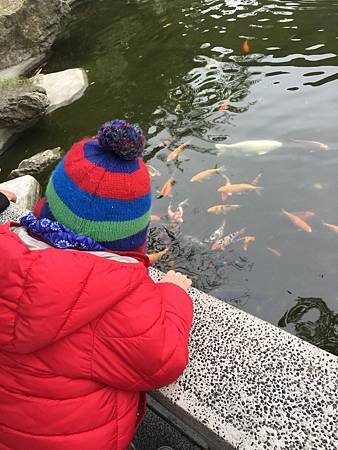 IMG_6667.JPG