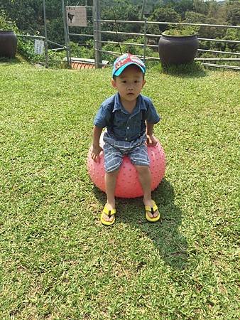 IMG_2631.JPG