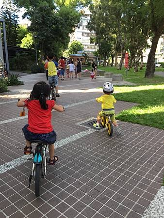 IMG_2450.JPG