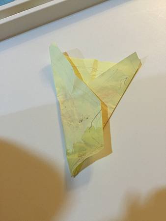IMG_2377.JPG