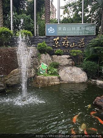 IMG_9677.JPG