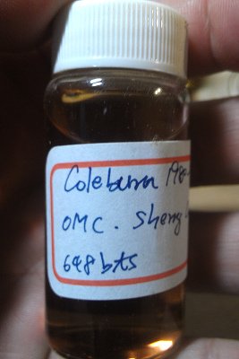 Coleburn_20_1980_OMC.jpg