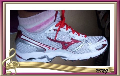 20100213 mizuno 002.jpg