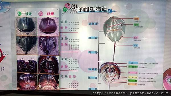 金門親子23.jpg