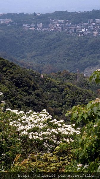 翠山步道11.jpg