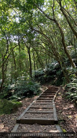 翠山步道33.jpg