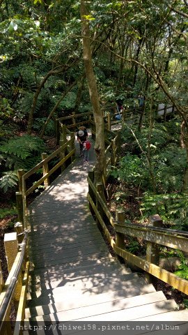 翠山步道37.jpg