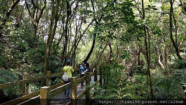 翠山步道38.jpg