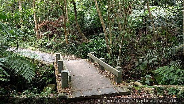 翠山步道49.jpg