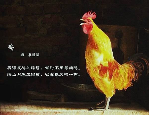 百鳥7=2608428609195102778.jpg