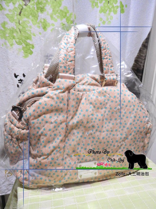 Bag05-01.JPG