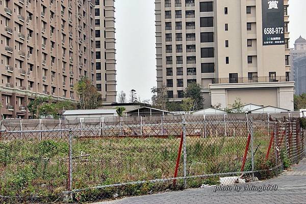 2014年度總踏查-0113.JPG