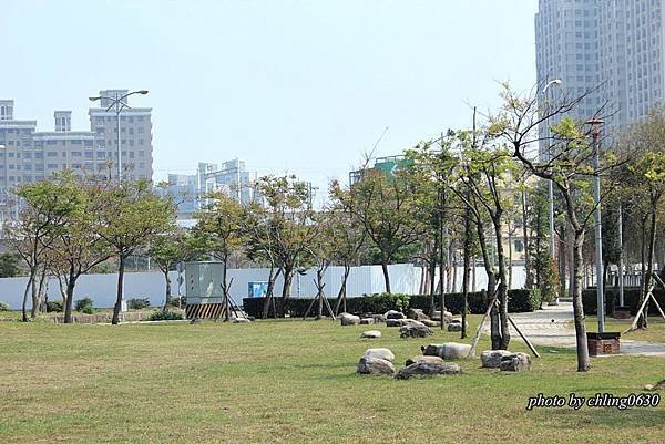 20150303竹北走春報導--005.JPG