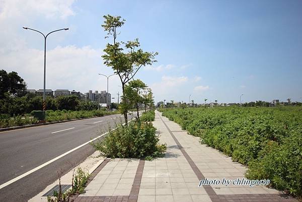 竹北近況20160822-0051.JPG