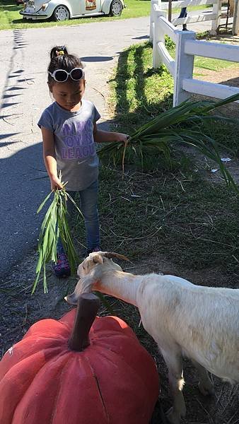 IMG_0987.jpg