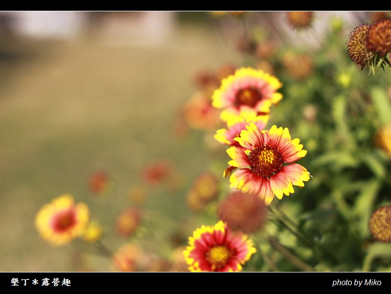 IMG_7754_nEO_IMG.jpg