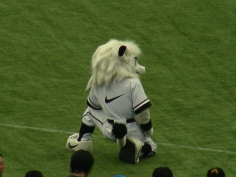 DSCN4380.JPG