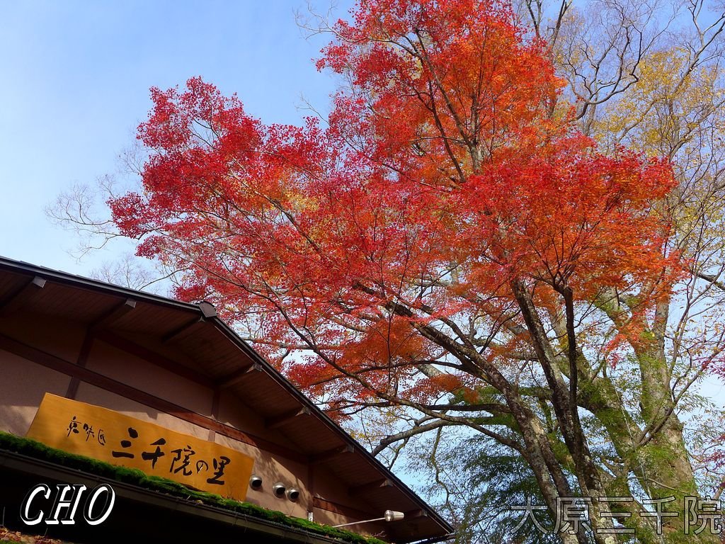 2013-11-27_09-14-53_P_pixnet